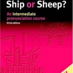 ship or sheep