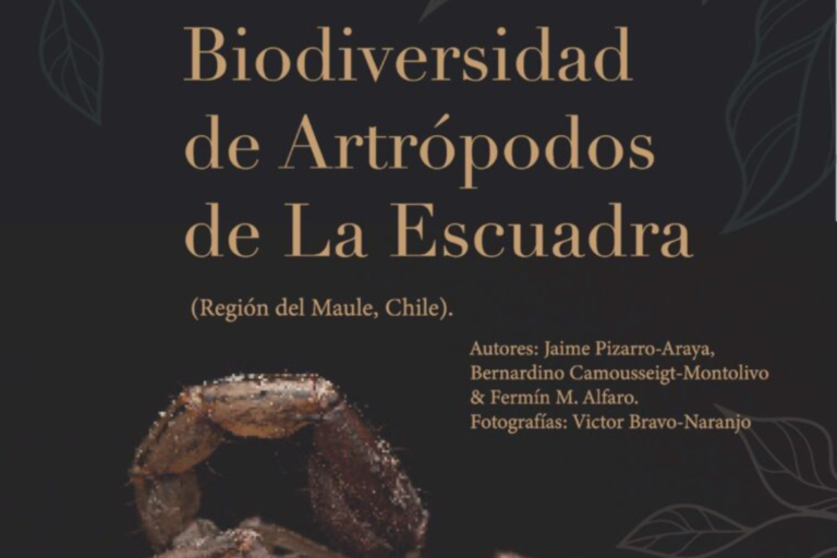 Guía de Campo: Biodiversidad de Artrópodos de La Escuadra (Región del Maule, Chile)